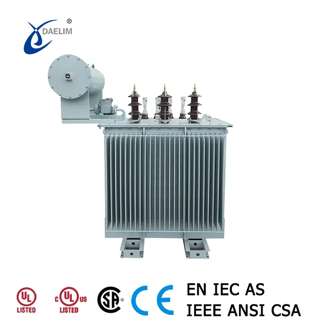 800 kVA Amorphous Core Distribution Transformer