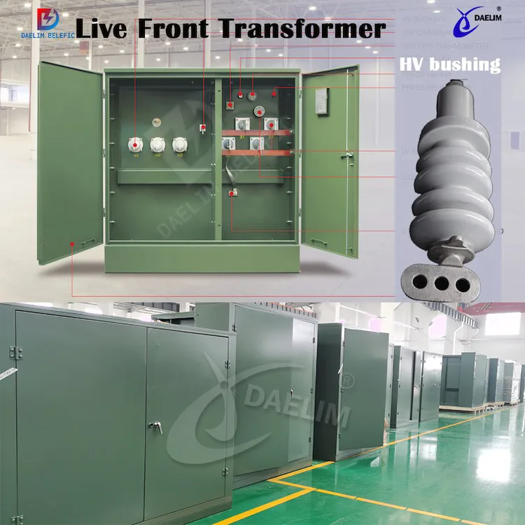 daelim-live-front-padmounted-transformer.webp