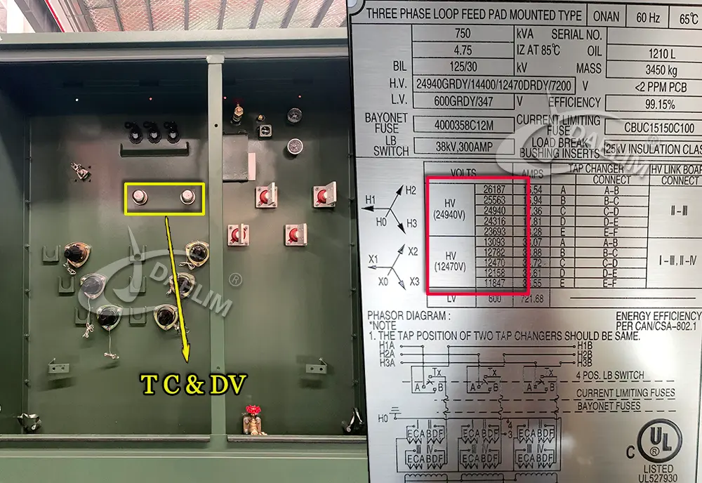 padmount transformer with tap changer and dual voltage switch